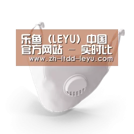 N95 口罩