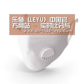 N95 口罩