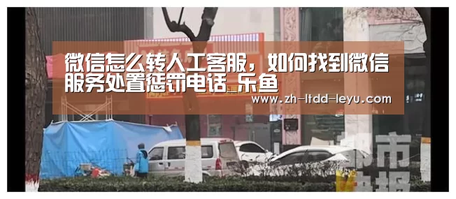 乐鱼
