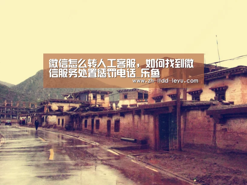 乐鱼