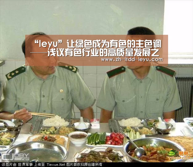 “leyu”让绿色成为有色的主色调——浅议有色行业的高质量发展之路⑤(图3) “leyu”让绿色成为有色的主色调——浅议有色行业的高质量发展之路⑤(图3)