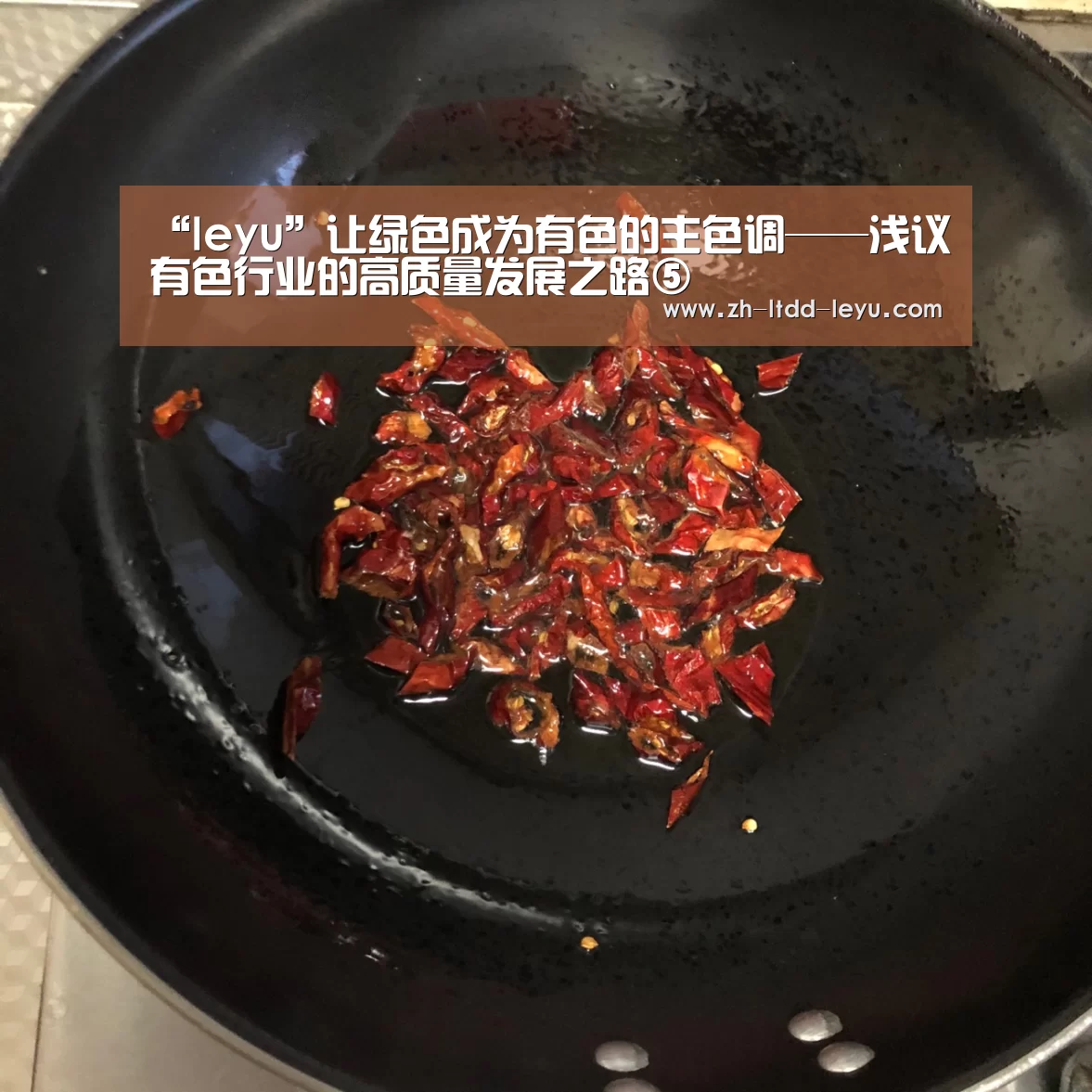 “leyu”让绿色成为有色的主色调——浅议有色行业的高质量发展之路⑤(图1) “leyu”让绿色成为有色的主色调——浅议有色行业的高质量发展之路⑤(图1)