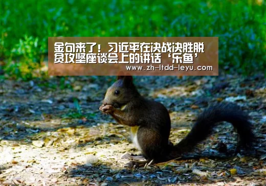 金句来了！习近平在决战决胜脱贫攻坚座谈会上的讲话‘乐鱼’(图1)