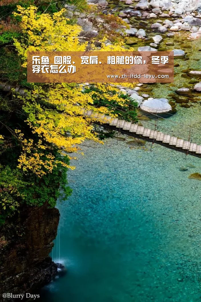 乐鱼体育