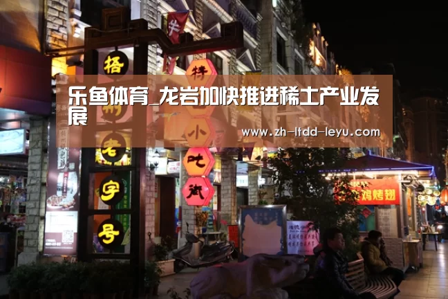 乐鱼体育_龙岩加快推进稀土产业发展(图1) 乐鱼体育