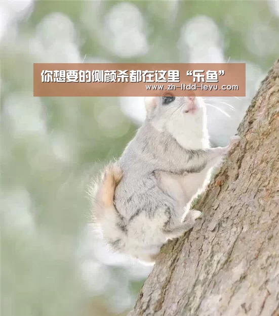 你想要的侧颜杀都在这里“乐鱼”(图2) 乐鱼
