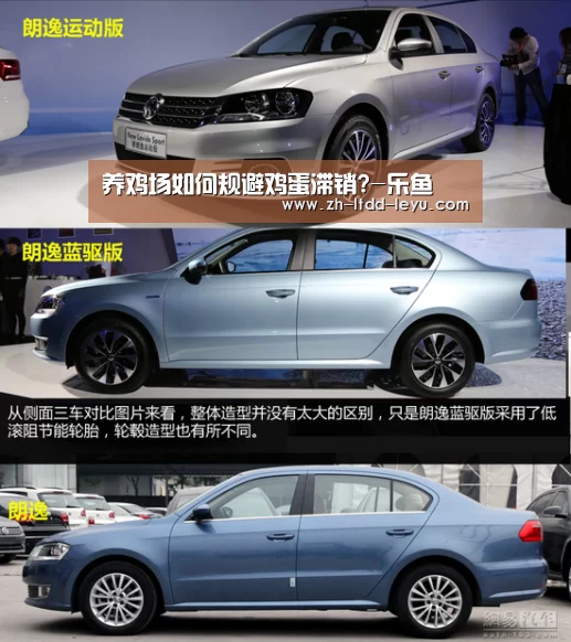 养鸡场如何规避鸡蛋滞销?-乐鱼(图1) 乐鱼