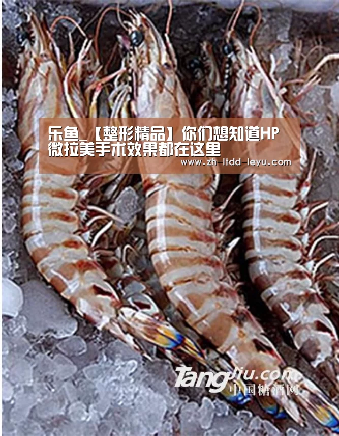 乐鱼体育
