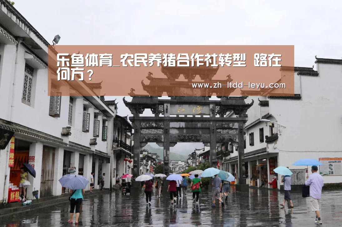 乐鱼体育_农民养猪合作社转型 路在何方?(图1) 乐鱼体育_农民养猪合作社转型 路在何方?(图1)