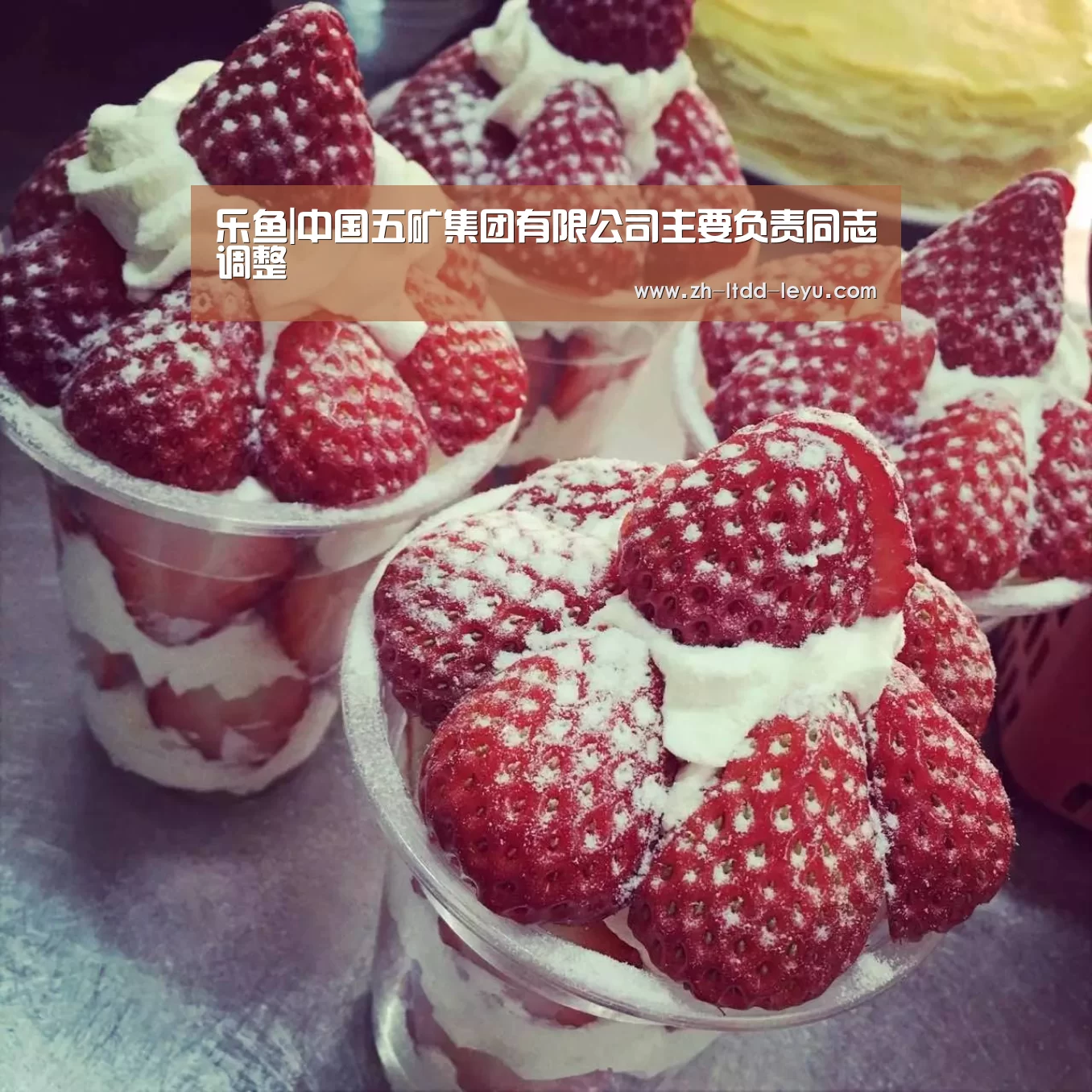 乐鱼|中国五矿集团有限公司主要负责同志调整(图4) 乐鱼体育