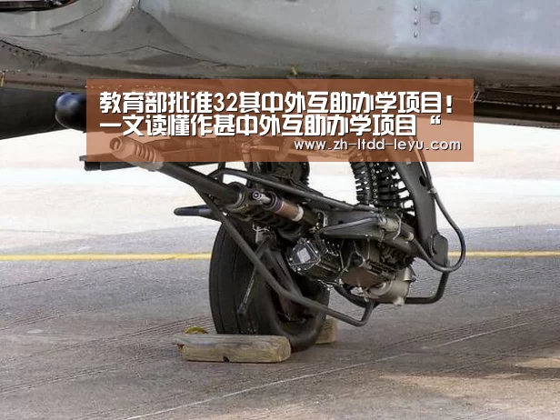 教育部批准32其中外互助办学项目!一文读懂作甚中外互助办学项目“乐鱼”(图4) 乐鱼体育