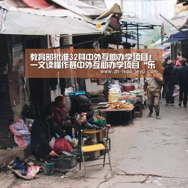 教育部批准32其中外互助办学项目!一文读懂作甚中外互助办学项目“乐鱼”(图1) 乐鱼