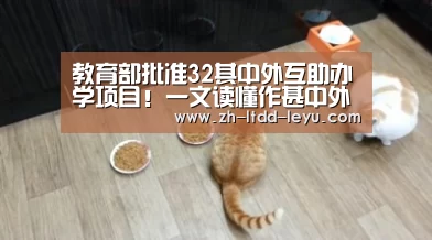 教育部批准32其中外互助办学项目!一文读懂作甚中外互助办学项目“乐鱼”(图2) 乐鱼