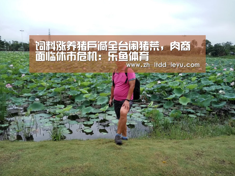 乐鱼