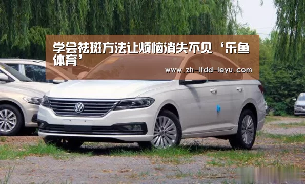 乐鱼体育