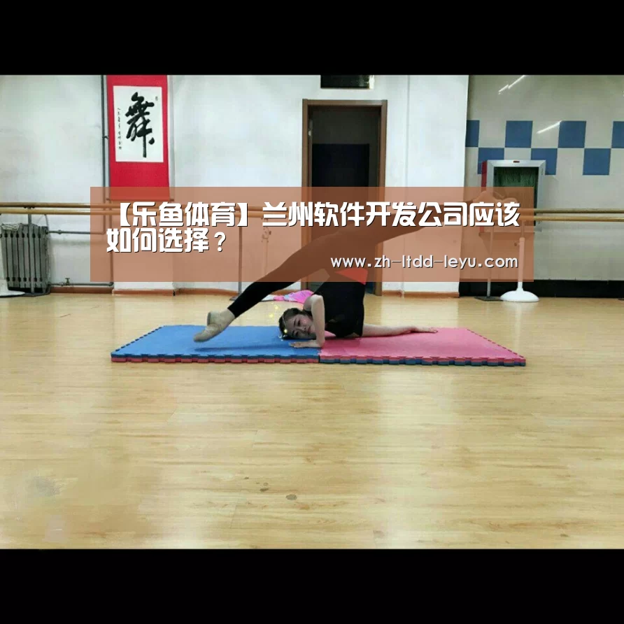 【乐鱼体育】兰州软件开发公司应该如何选择?(图3) 乐鱼