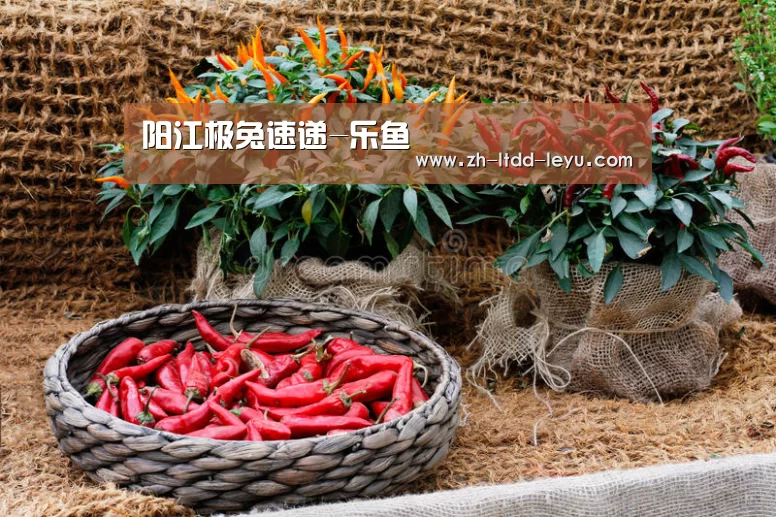 阳江极兔速递-乐鱼(图1) 阳江极兔速递-乐鱼(图1)