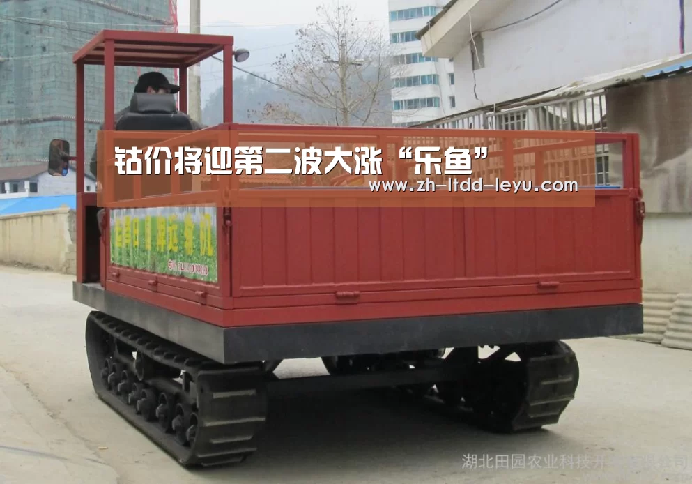 乐鱼