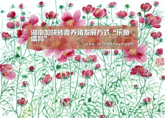 湖南加快转变养殖发展方式“乐鱼体育”(图1) 湖南加快转变养殖发展方式“乐鱼体育”(图1)