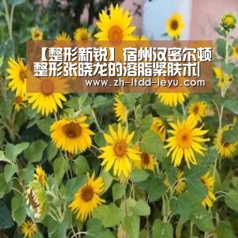 【整形新锐】宿州汉密尔顿整形张晓龙的溶脂紧肤术|乐鱼体育(图1) 【整形新锐】宿州汉密尔顿整形张晓龙的溶脂紧肤术|乐鱼体育(图1)