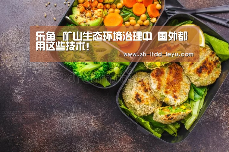 乐鱼-矿山生态环境治理中 国外都用这些技术!(图2) 乐鱼