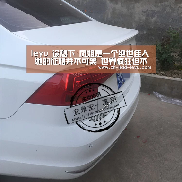 leyu_设想下 凤姐是一个绝世佳人 她的征婚并不可笑 世界疯狂但不癫狂(图3) 乐鱼